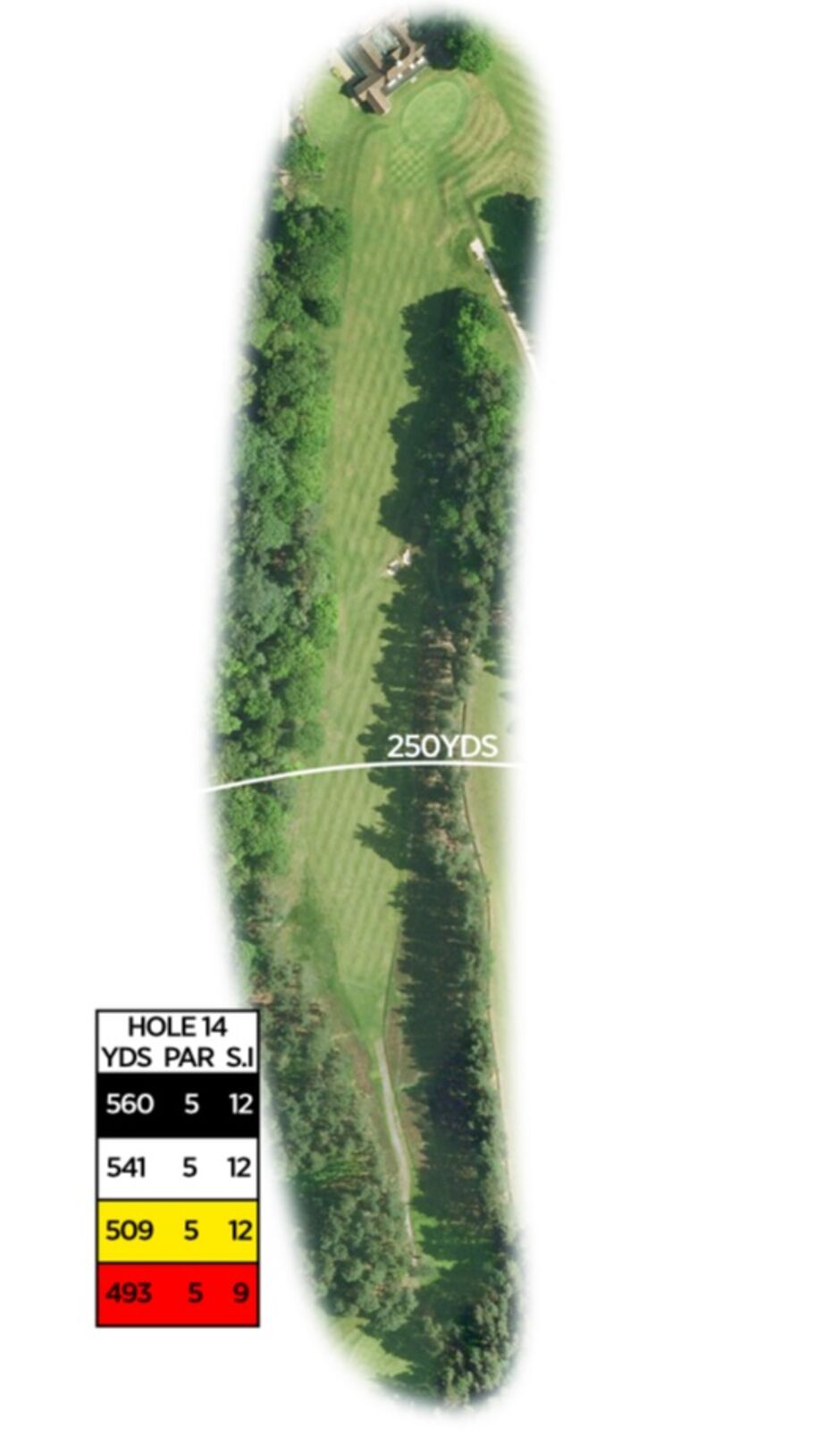 Hole 14